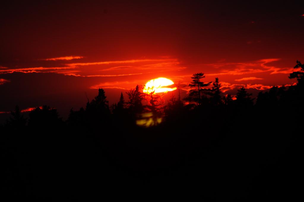 DSC_2934