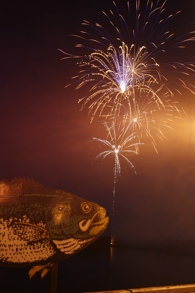 FFCBC fireworks13