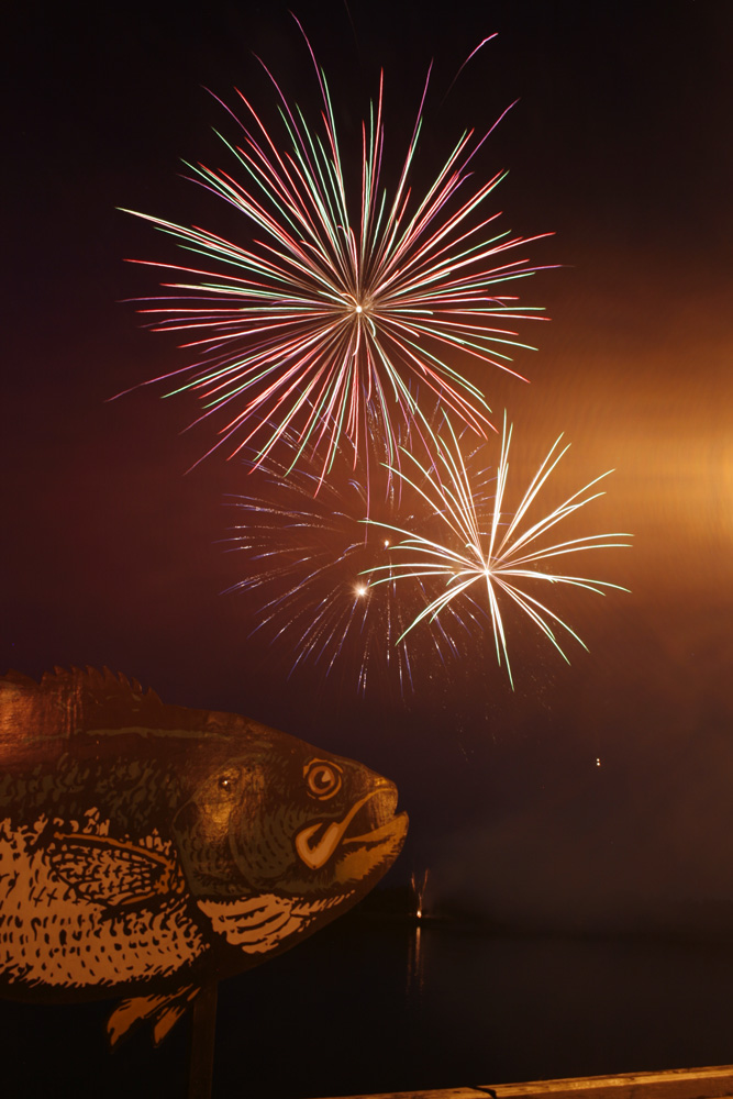 FFCBC fireworks7