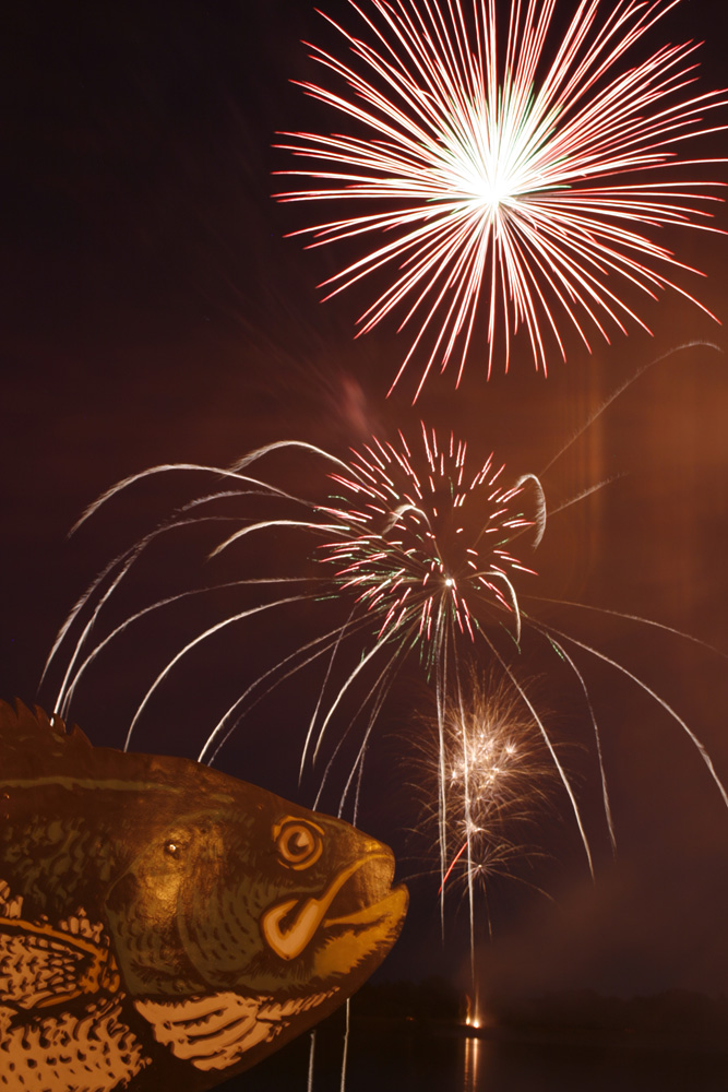 FFCBC fireworks8