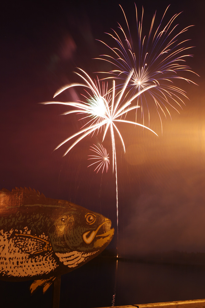 FFCBC fireworks9