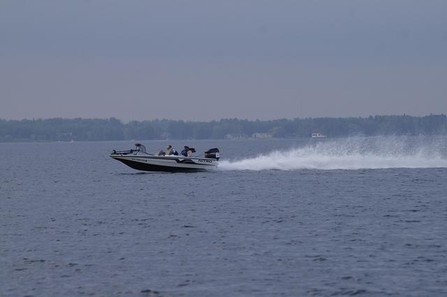 _IGP2894