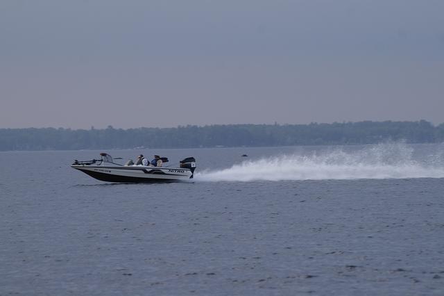 _IGP2895