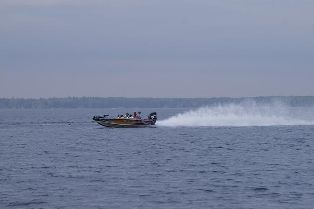 _IGP2896