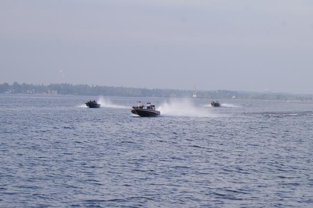 _IGP2919