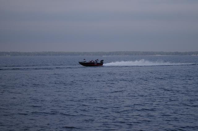 _IGP2931