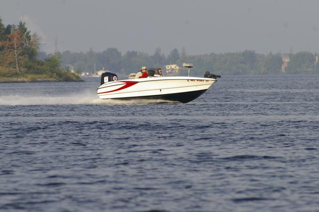 _IGP2954