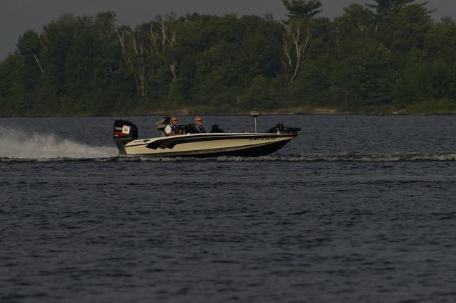 _IGP2967