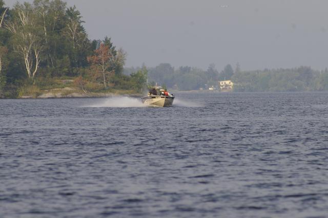 _IGP2981
