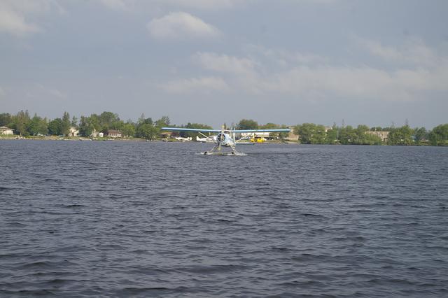 _IGP3176