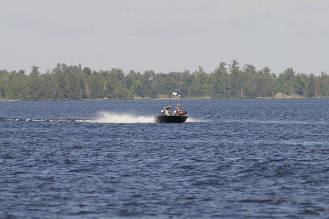_IGP3344