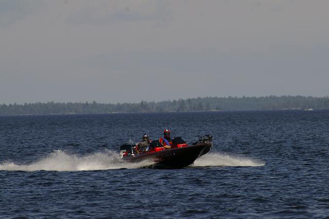 _IGP3445