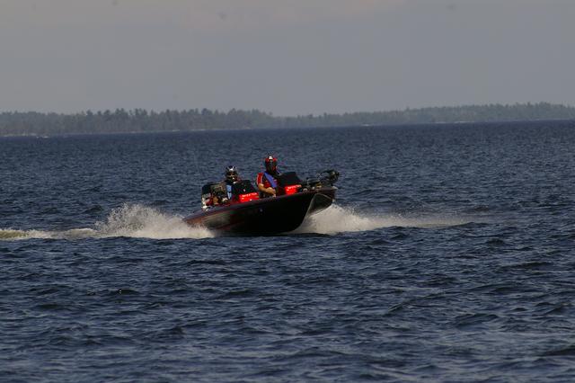 _IGP3446