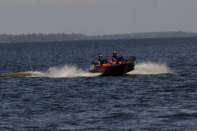 _IGP3447