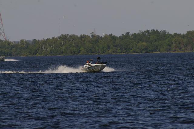_IGP3541