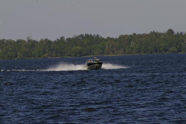 _IGP3544
