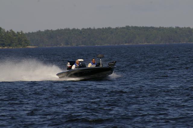 _IGP3545