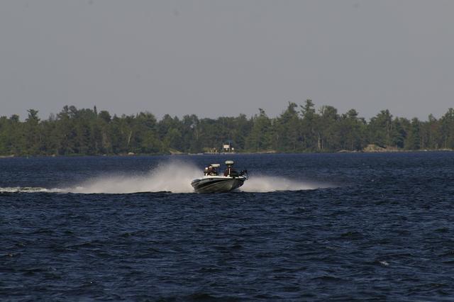 _IGP3592