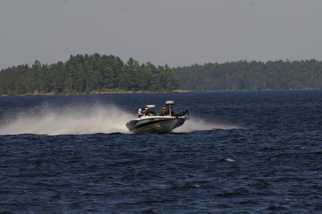 _IGP3594