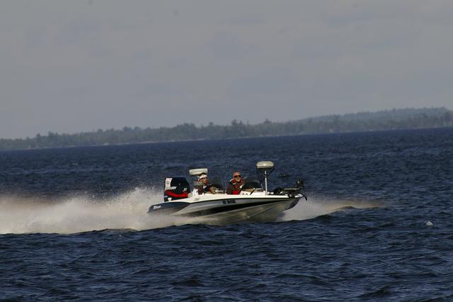 _IGP3597