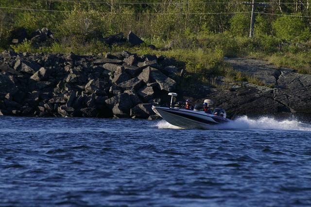 _IGP3698