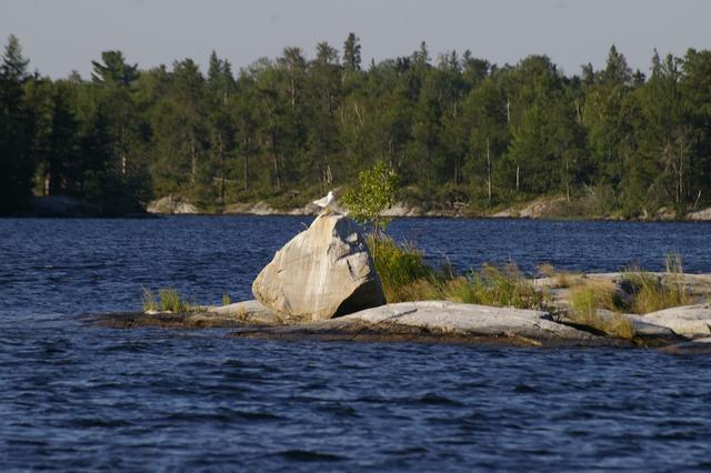 _IGP3774