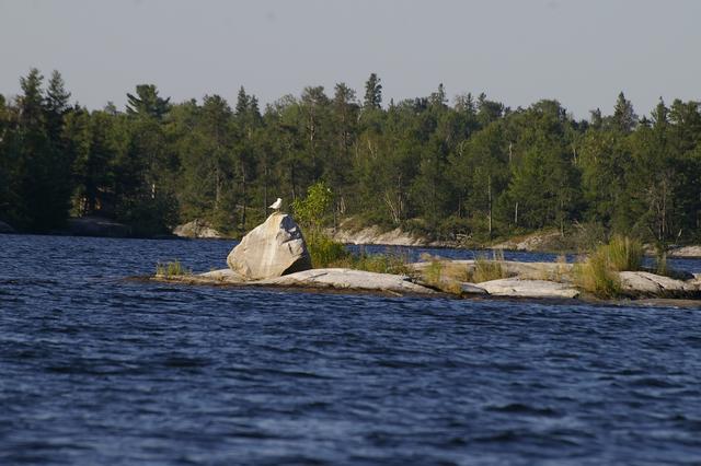 _IGP3792