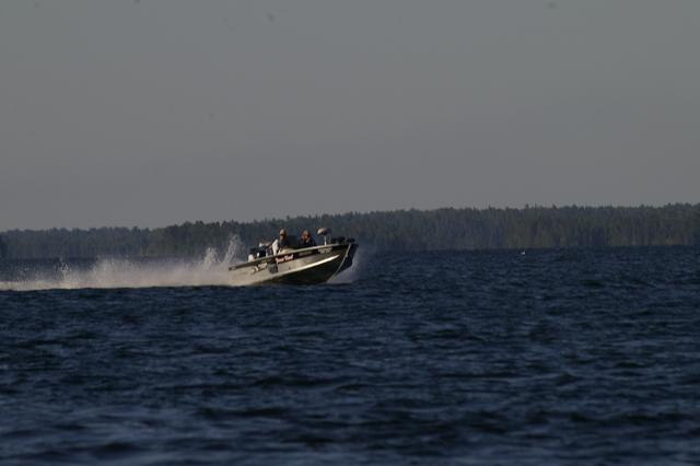 _IGP3856