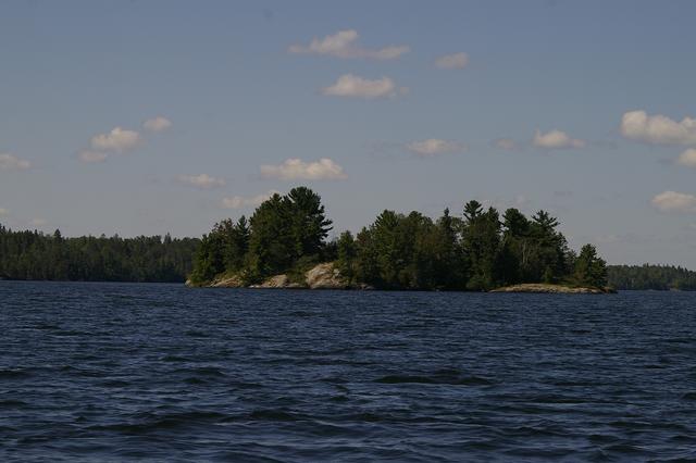 _IGP3945