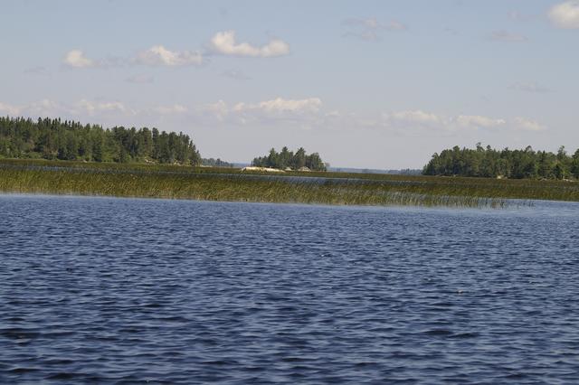 _IGP3959