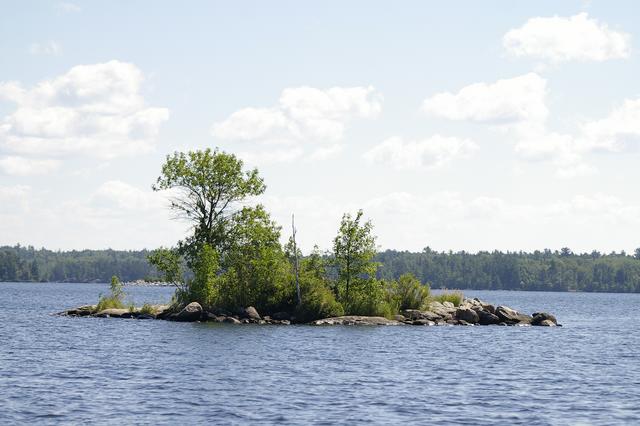 _IGP3964