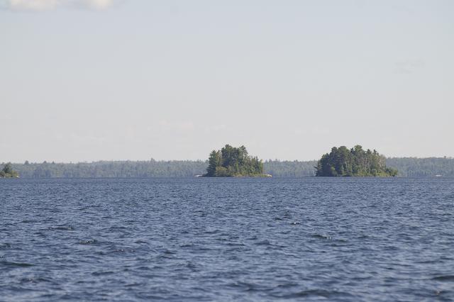 _IGP3966
