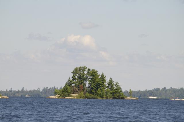 _IGP3969