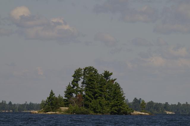 _IGP3970