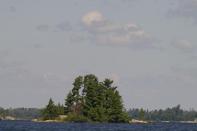 _IGP3971