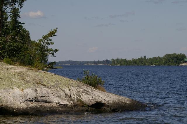 _IGP3973