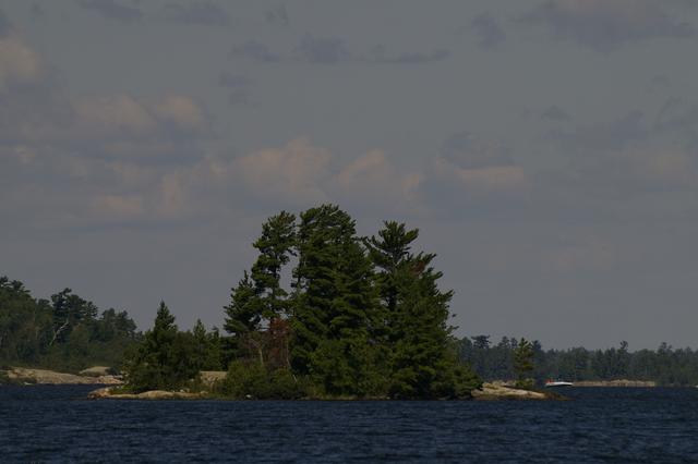 _IGP3974