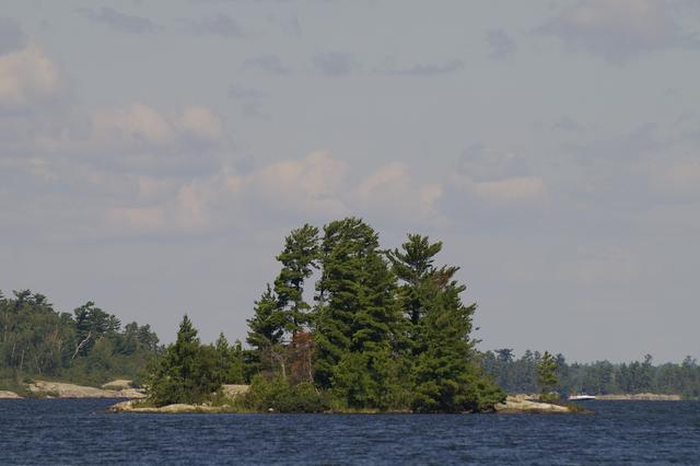 _IGP3975
