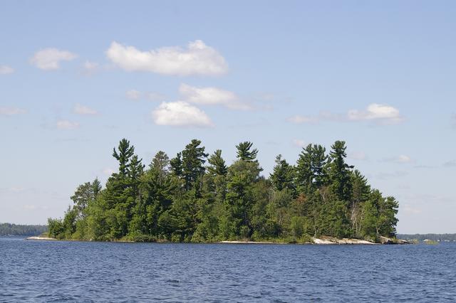 _IGP3977