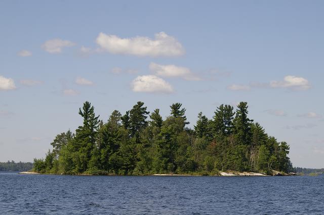_IGP3978
