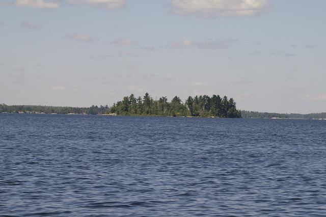 _IGP3979