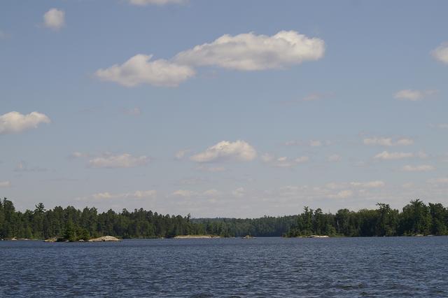 _IGP3991