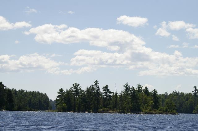 _IGP3993