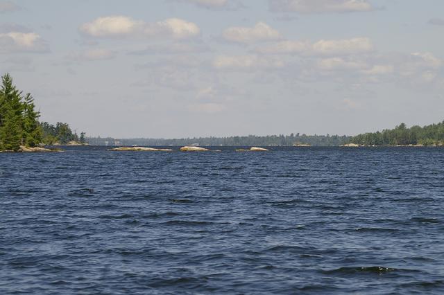_IGP3995