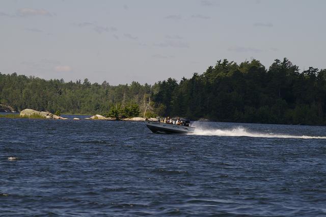_IGP3998