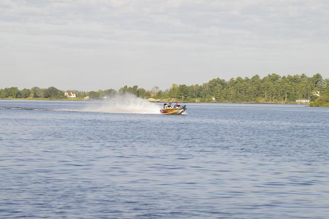 _IGP4536