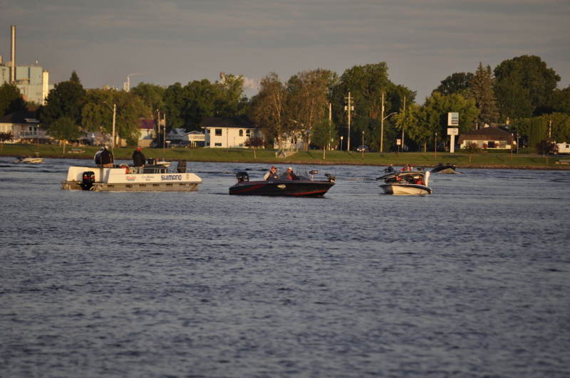 bass 2014 033_0
