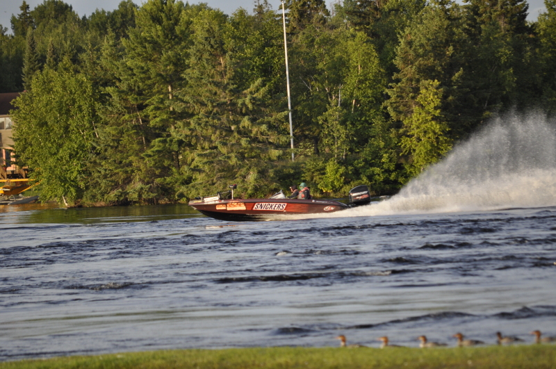 bass 2014 057_0