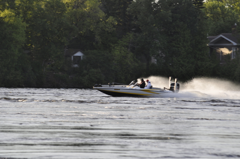 bass 2014 075_0